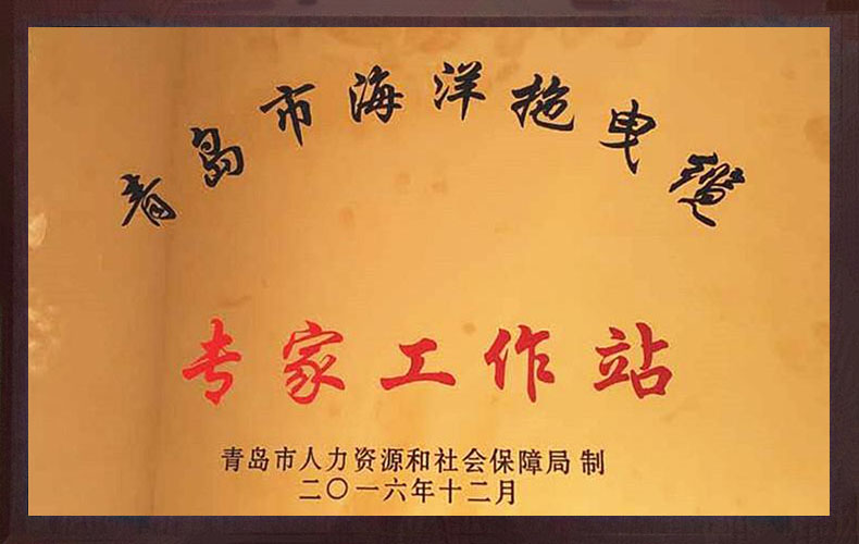 青(qing)島市海洋拖拽纜專(zhuan)家(jia)工(gong)作站