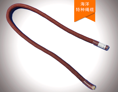 防海洋生物附着绳索