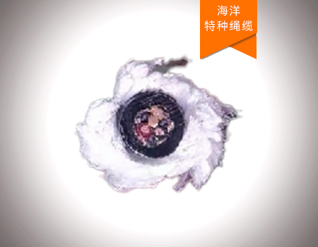 纵向载荷绞车信号缆绳