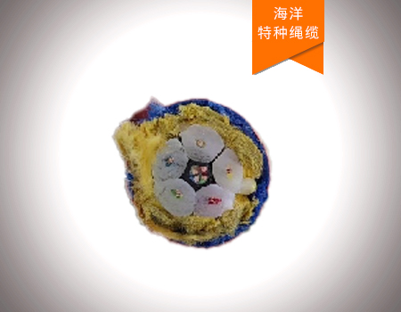 万米海洋绞车缆绳