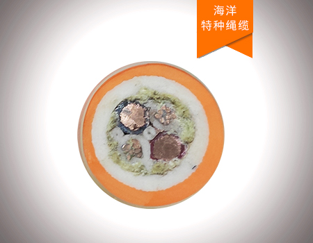 凯夫拉芳纶挤塑柔性绞车信号缆绳